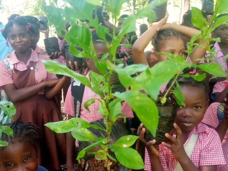 élèves avec plantes 2
