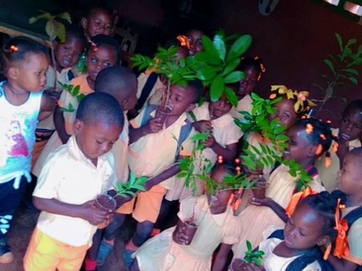 élèves avec plantes 1